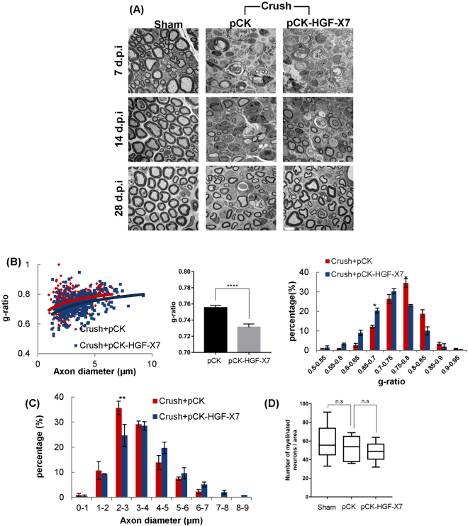 Figure 7