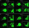 Figure 2—figure supplement 2.