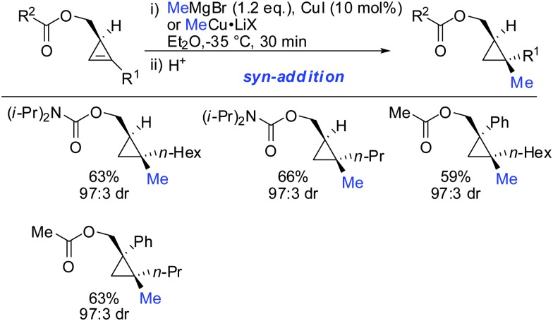 Scheme 16