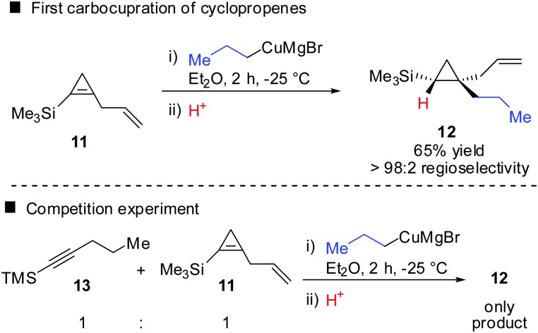 Scheme 8