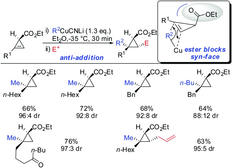 Scheme 13