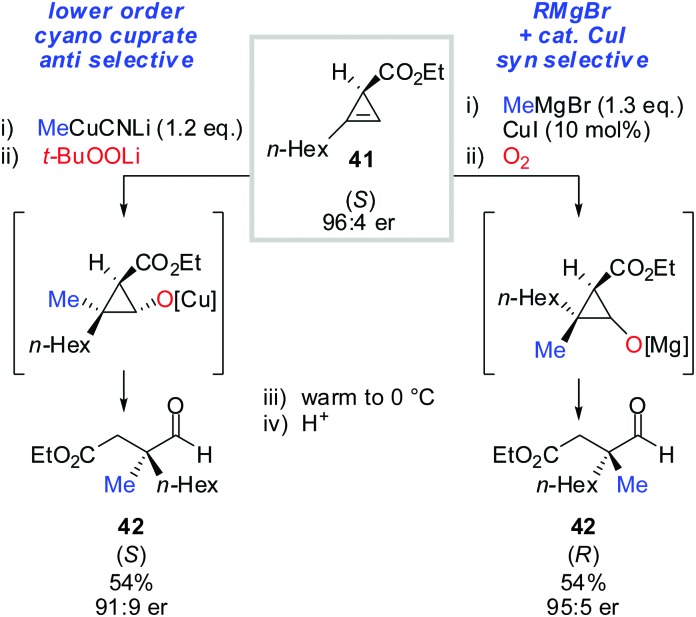 Scheme 37