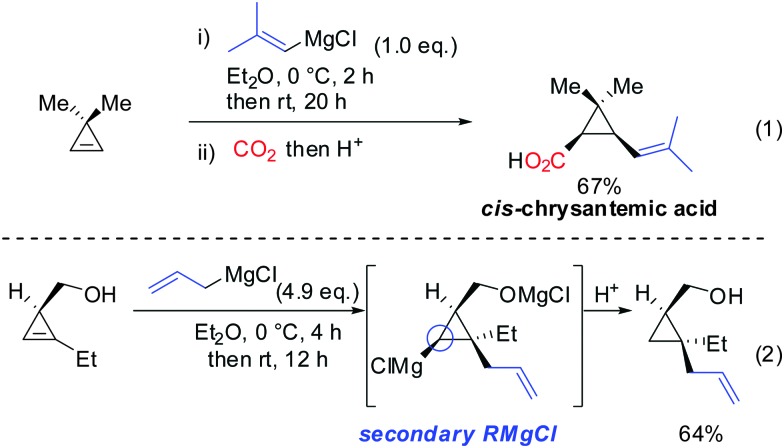 Scheme 18