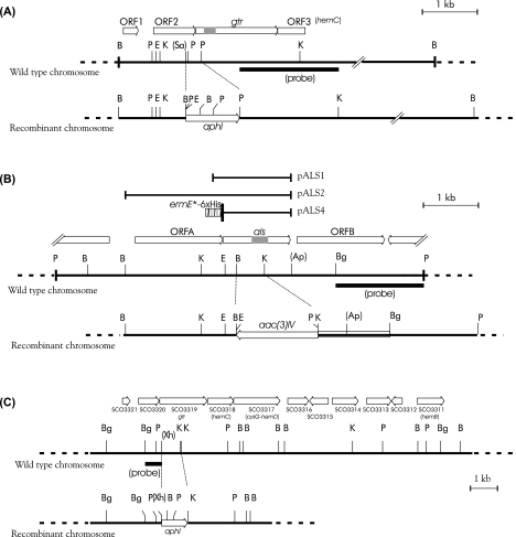 FIG. 2.