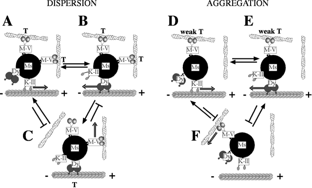 Figure 9.