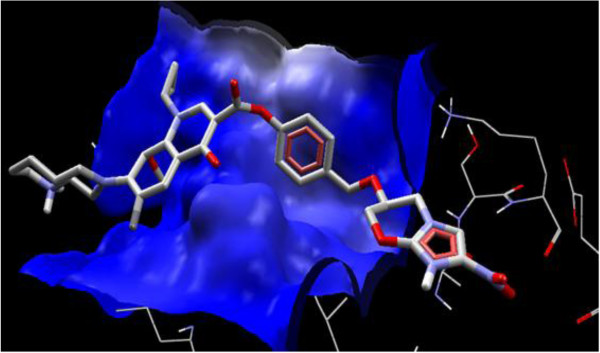 Figure 7