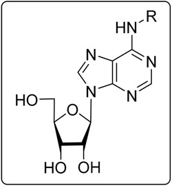 graphic file with name molecules-22-01219-i004.jpg