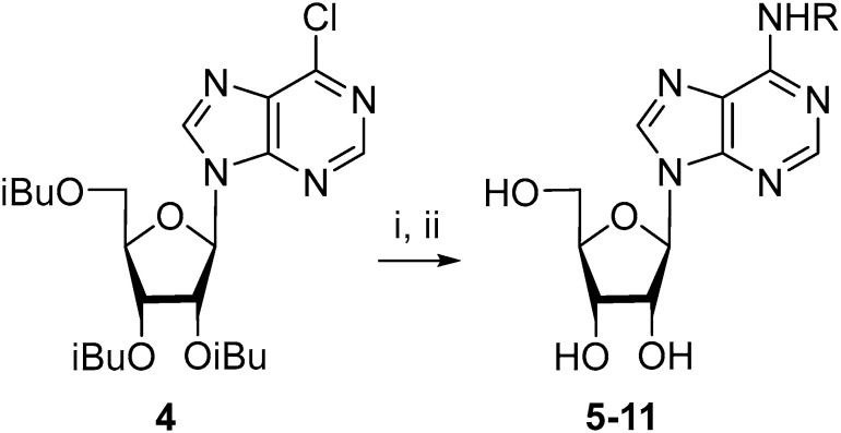 Scheme 1