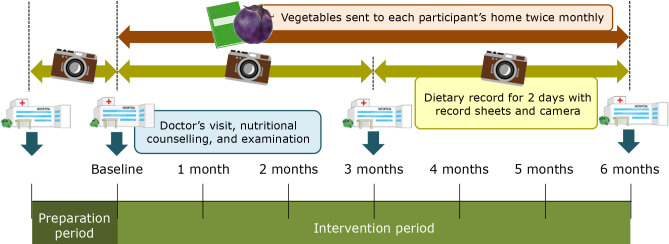 Fig. 1.