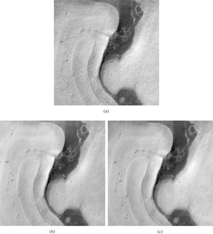 Fig. 18