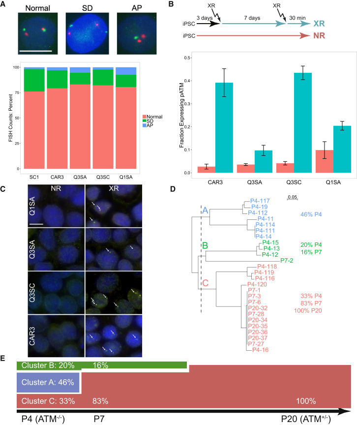 Figure 3