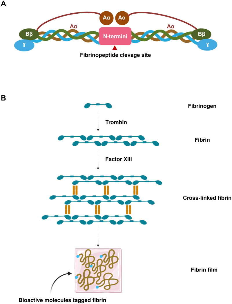 Figure 7.