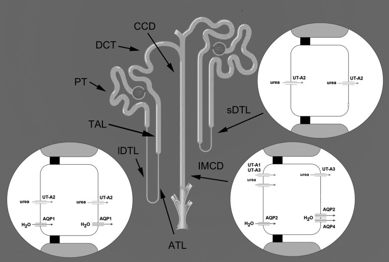 Fig. 9.