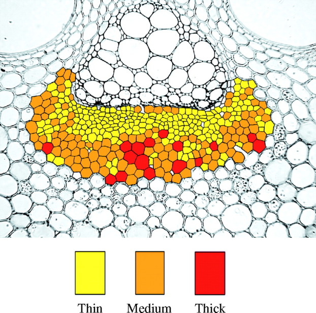 Fig. 6.