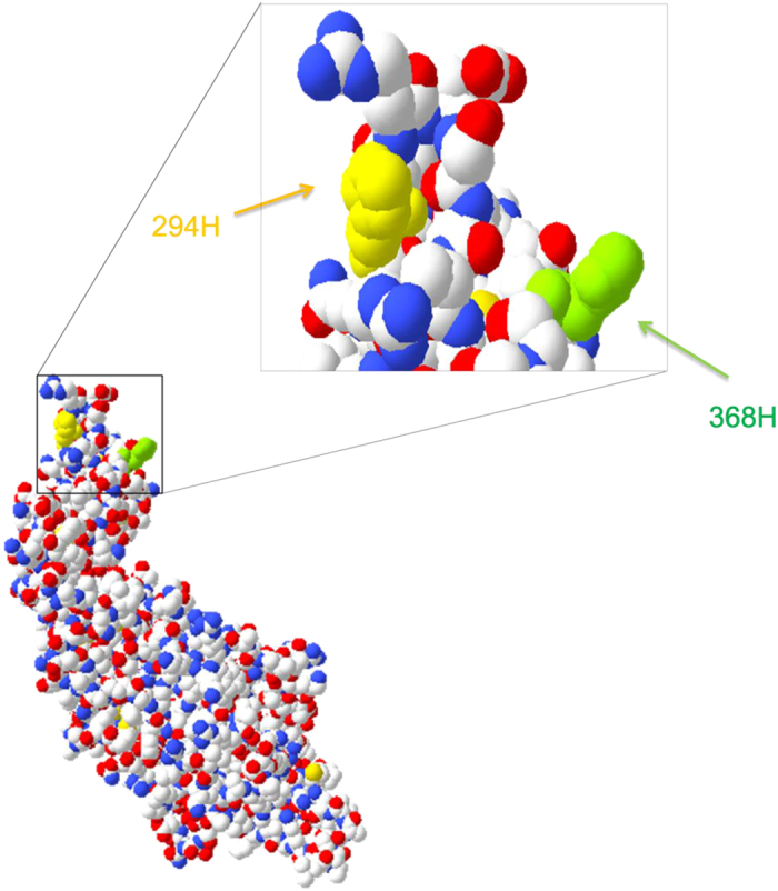 Figure 7