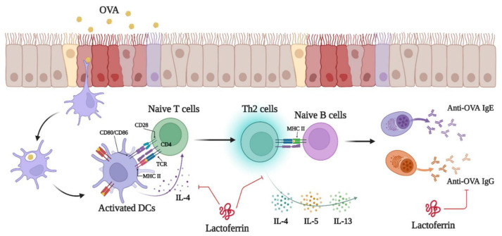 Figure 7