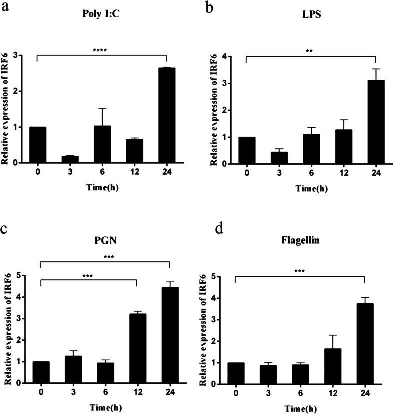 Fig. 6