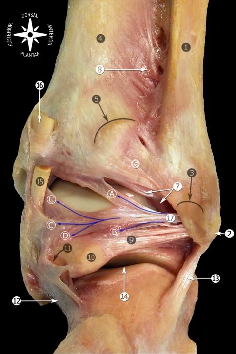 Fig. 10