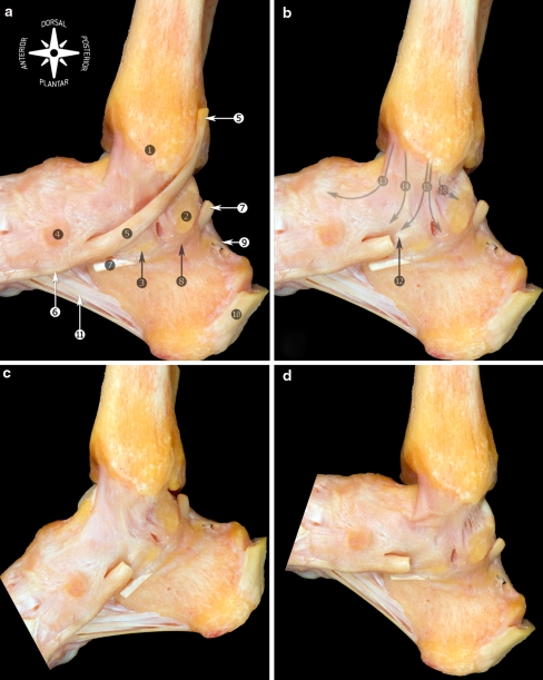 Fig. 14