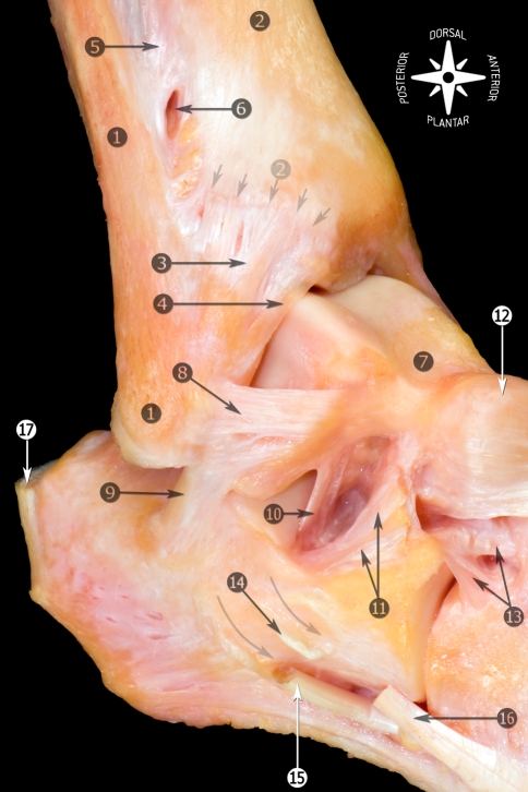 Fig. 3