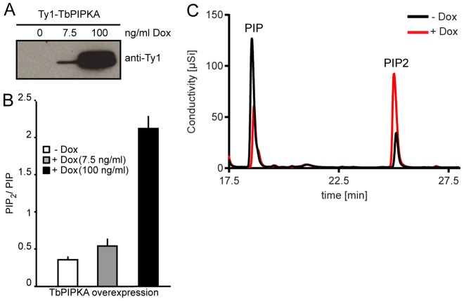 Fig. 2.