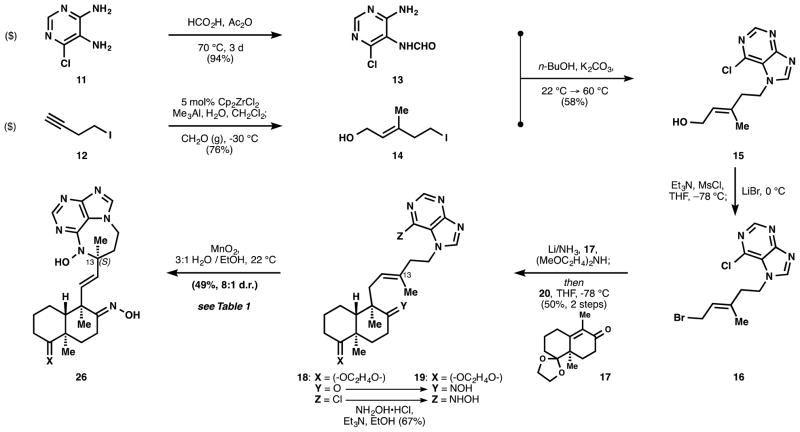 Scheme 1