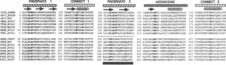 graphic file with name pnas01090-0013-a.jpg