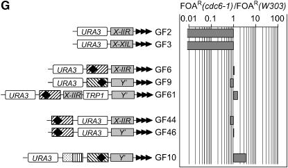 Figure 3.—