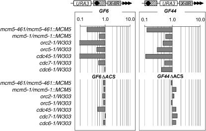 Figure 4.—