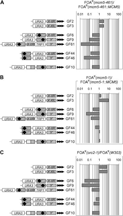 Figure 3.—