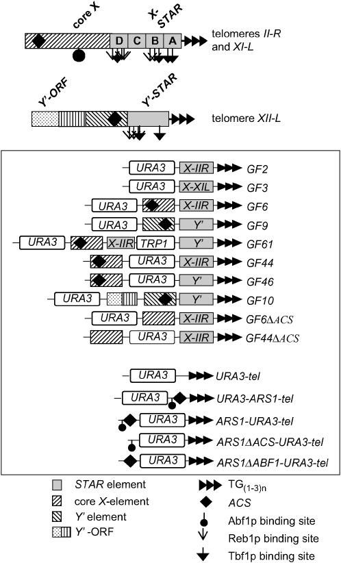 Figure 1.—