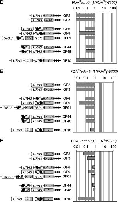 Figure 3.—