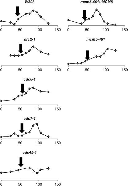 Figure 6.—