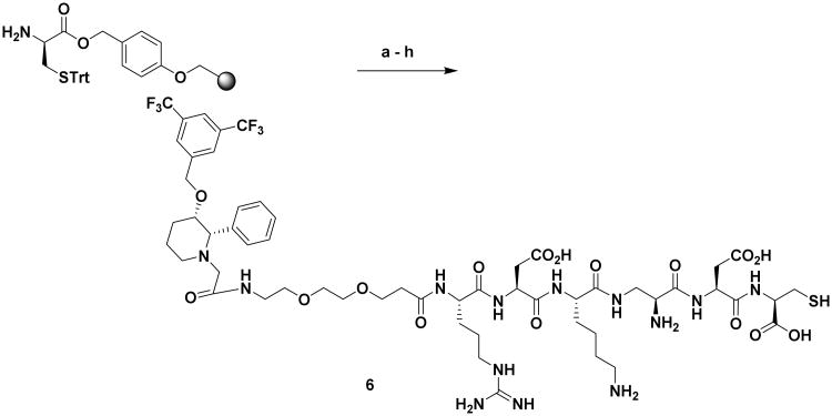 Scheme 4