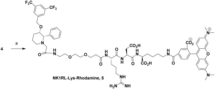 Scheme 3