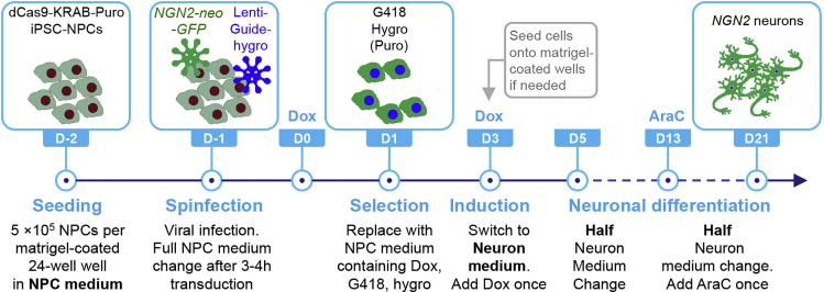 Figure 7