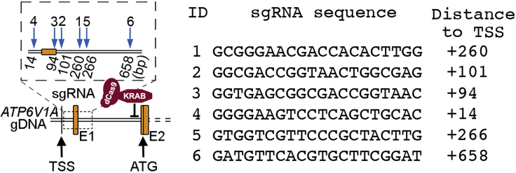 Figure 1