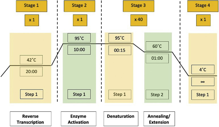 Figure 6