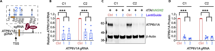 Figure 9