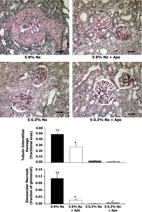 Fig. 6.