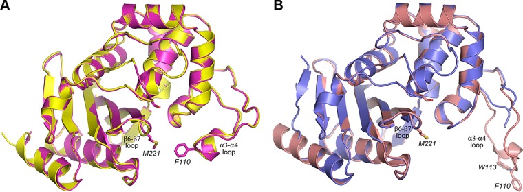 FIG 3