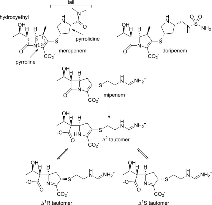 FIG 1