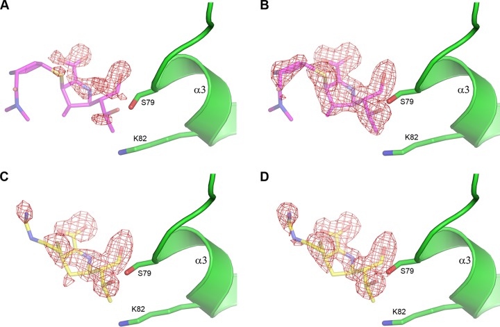 FIG 4