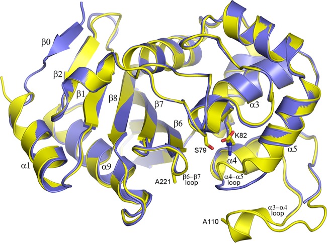 FIG 2