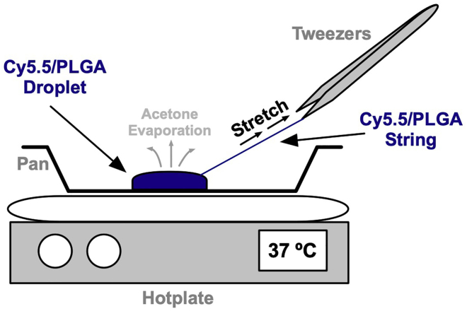 Figure 2