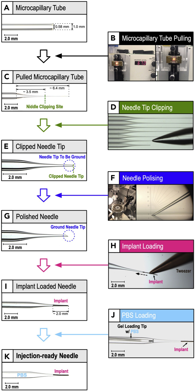 Figure 4