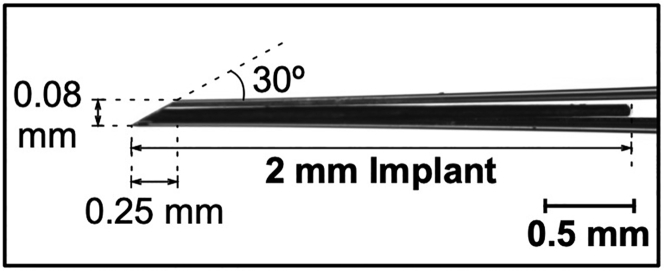 Figure 1