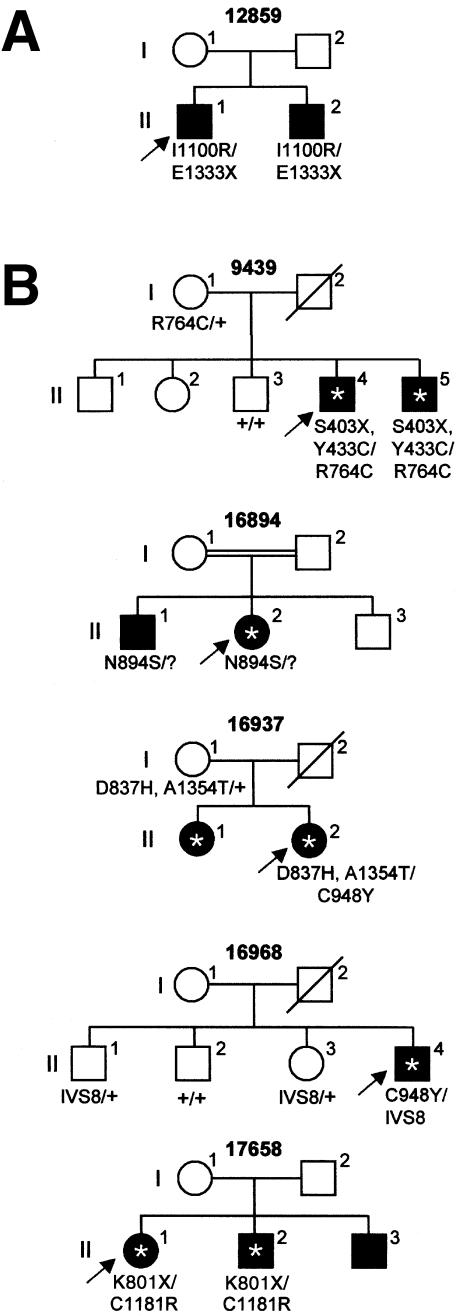 Figure  1