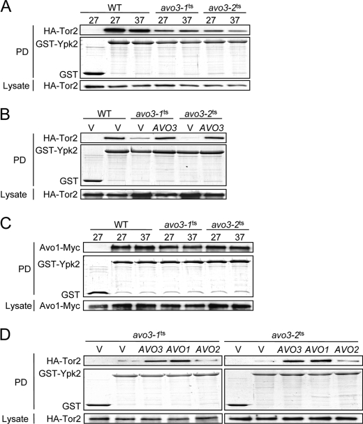 FIGURE 4.