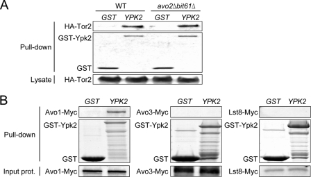 FIGURE 3.